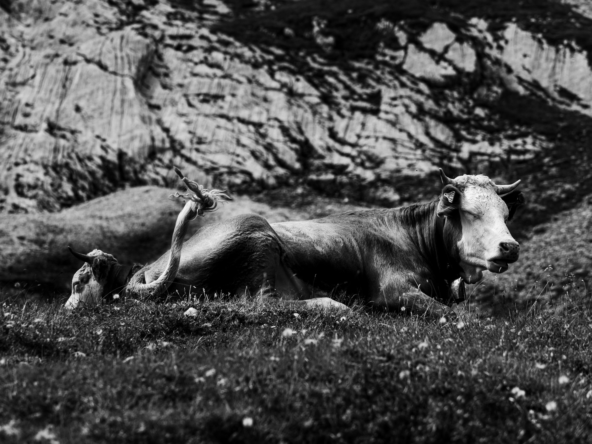 Bild 56